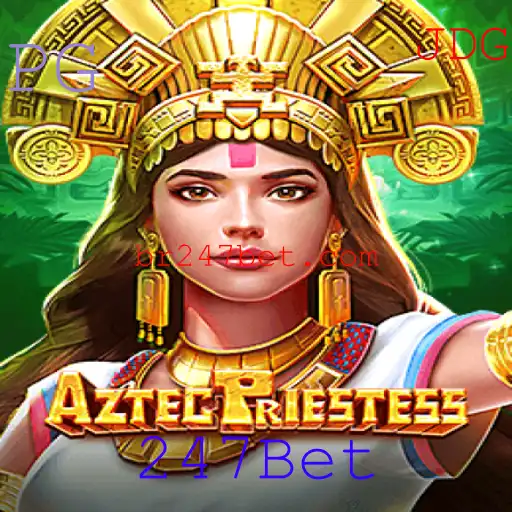 247Bet Casino App