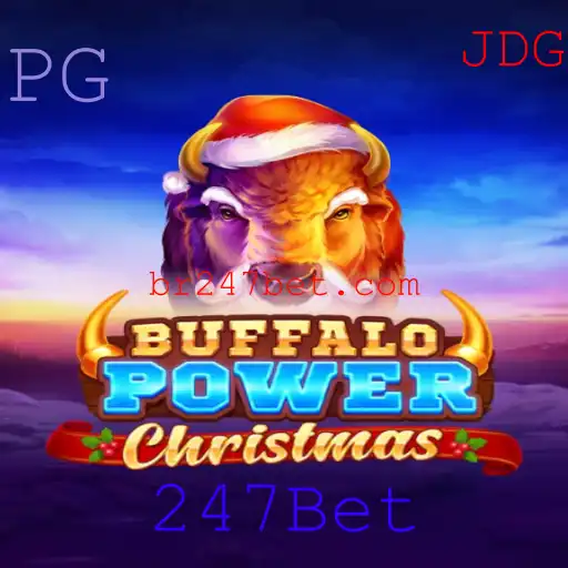 247Bet Casino App