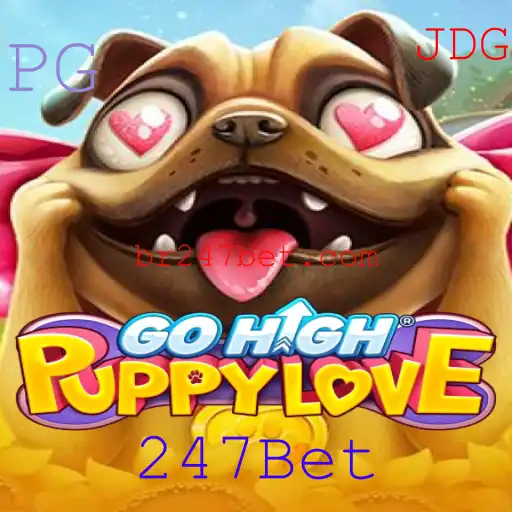 247Bet Esportes