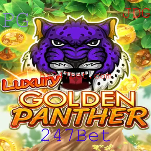 247Bet Casino App