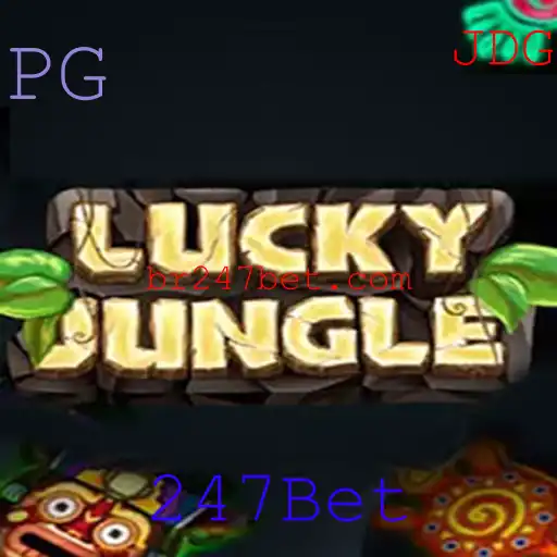 247Bet Casino App
