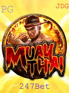 247Bet Casino App