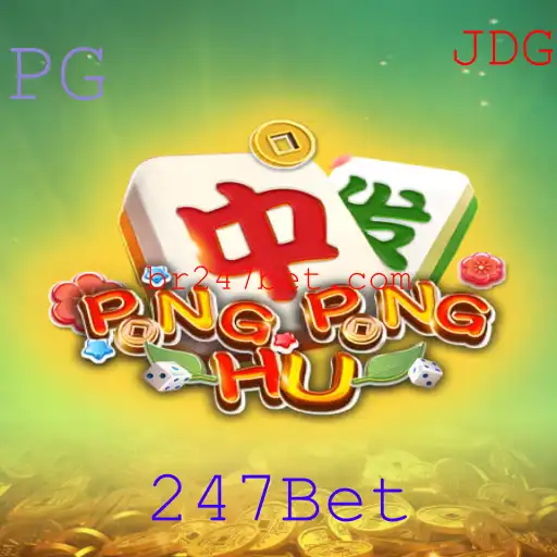247Bet Casino App
