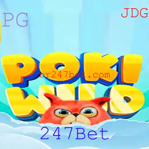 247Bet Esportes