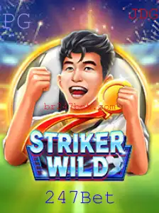 247Bet Casino App